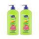 Suave kids 3in1 shampoo+conditioner+body wash watermelon wonder 532ml แชมพู ครีมนวดผม และครีมอาบน้ำสำหรับเด็ก (1 Free 1)