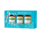 Clover Plus Special Gift Set Multi B+ Ginkgo มัลติบี พลัส จิงโกะ สารสกัดจาก ใบแป๊ะก๊วย อาหารเสริมสำหรับสมอง (อาหารเสริม)