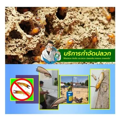 Dr.ปลวก-บริการกำจัดปลวก(บ้านทาวน์เฮ้าส์)-ขนาด 801-1000 ตร.ม.