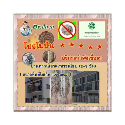 Dr.ปลวก-บริการกำจัดเชื้อรา(บ้านทาวน์เฮ้าส์)-ขนาดไม่เกิน 100 ตร.ม.