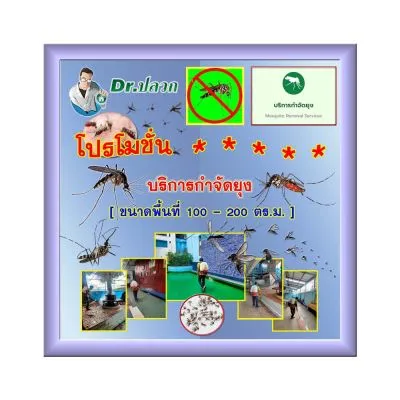 Dr.ปลวก-บริการกำจัดยุง(โรงเรียน)-ขนาด 100-200 ตร.ม.