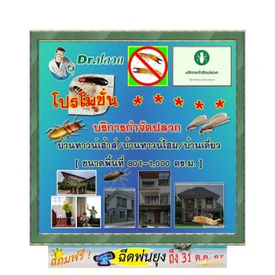 Dr.ปลวก-บริการกำจัดปลวก(บ้านทาวน์เฮ้าส์)-ขนาด 801-1000 ตร.ม.