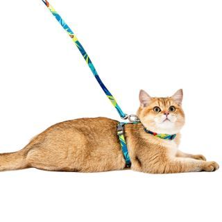 Petkit Cat Harness & Leash สายจูงแมวผ้าโพลีเอสเตอร์ลายสวย แข็งแรง ทนทาน ไม่บาด ไม่เป็นขุย