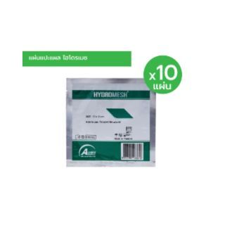 Hydromesh Exp.2025 Hydromesh Fresh Wound Patch Infection Patch Size 10x10cm Wound Mesh