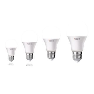 Randy หลอดไฟ LED : Bulb ขั้วE27 24D24W LEDสีขาว6000K