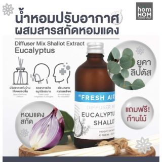 homHom ก้านไม้ปรับอากาศ น้ำหอมปรับอากาศ ผสมหอมแดงสกัด  100 ml. กลิ่นยูคาลิปตัส