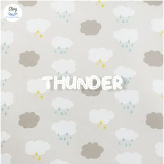 Airy Breathable Matress Sheet (Size S-65) ผ้าปูเบาะนอนหายใจผ่านได้ สำหรับเบาะขนาด 65X95X5 ซม. Thunder