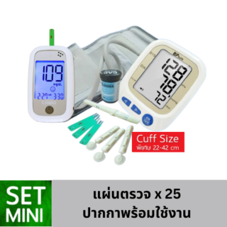 Lumina OK Meter  + BP Sure คัพใหญ่ SET MINI เครื่องตรวจน้ำตาลและเครื่องวัดความดัน