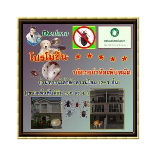 Dr.ปลวก-บริการกำจัดเห็บหมัด(บ้านทาวน์เฮ้าส์)-ขนาดไม่เกิน 100 ตร.ม.