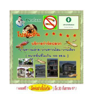 Dr.ปลวก-บริการกำจัดปลวก(บ้านทาวน์เฮ้าส์)-ขนาดไม่เกิน 100 ตร.ม.