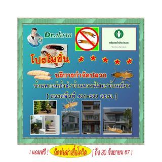 Dr.ปลวก-บริการกำจัดปลวก(บ้านทาวน์เฮ้าส์)-ขนาด 401-500 ตร.ม.