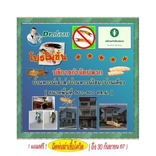 Dr.ปลวก-บริการกำจัดปลวก(บ้านทาวน์เฮ้าส์)-ขนาด 501-600 ตร.ม.