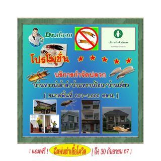 Dr.ปลวก-บริการกำจัดปลวก(บ้านทาวน์เฮ้าส์)-ขนาด 801-1000 ตร.ม.