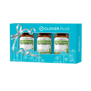 Clover Plus Special Gift Set Multi B+ Ginkgo มัลติบี พลัส จิงโกะ สารสกัดจาก ใบแป๊ะก๊วย อาหารเสริมสำหรับสมอง (อาหารเสริม)