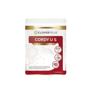 Clover Plus Cordy US คอร์ดี้ ยูเอส สารสกัดจากถั่งเช่าและเห็ดหลินจือ ขนาด 7 แคปซูล (1 ซอง)