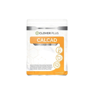 Clover Plus Calcad แคลแคท อาหารเสริม แคลเซียม และวิตามิน 7 แคปซูล (1 ซอง)