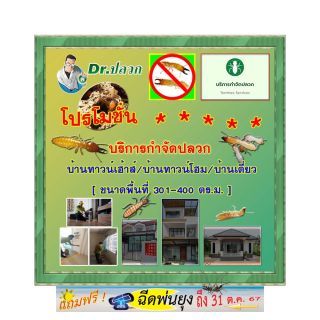 Dr.ปลวก-บริการกำจัดปลวก(บ้านทาวน์เฮ้าส์)-ขนาด 301-400 ตร.ม.