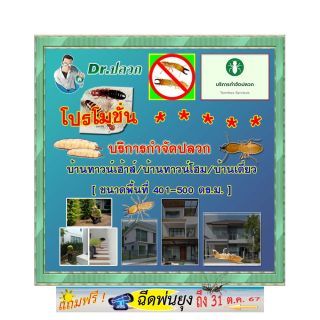 Dr.ปลวก-บริการกำจัดปลวก(บ้านทาวน์เฮ้าส์)-ขนาด 401-500 ตร.ม.