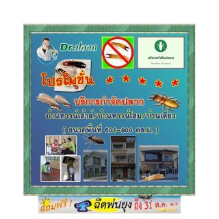 Dr.ปลวก-บริการกำจัดปลวก(บ้านทาวน์เฮ้าส์)-ขนาด 601-800 ตร.ม.